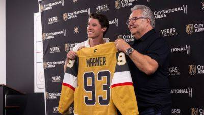 2025 NHL team report cards: Draft, free agency and trades - ESPN