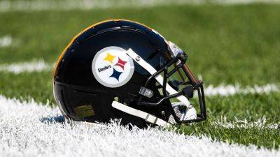 Carolina Panthers - Steelers first-round pick Harmon carted off with knee injury - ESPN - espn.com - county Bay