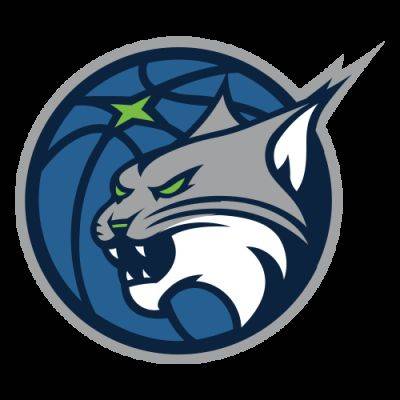 How do the WNBA playoffs work? Dates, format and more - ESPN