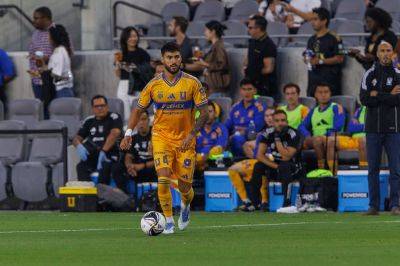 Tigres vs. Puebla: Liga MX preview, odds, how to watch, time - foxnews.com