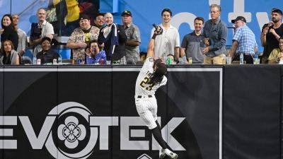 Padres' Fernando Tatis Jr makes incredible catch at wall, but Reds catcher gets last laugh