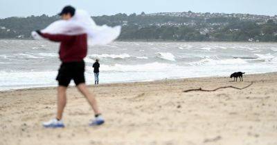 Strong winds causing disruption in Wales with yellow weather warning issued - live updates - walesonline.co.uk