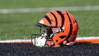 Source - Bengals add Sean Clifford, Mike White to practice squad - ESPN