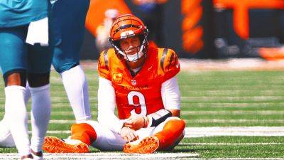 Mike White - Williams - Joe Burrow Injury: Evaluating Best Replacements and Where Bengals Go From Here - foxnews.com