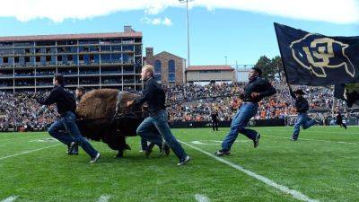 Colorado to debut new live buffalo mascot against Wyoming - ESPN