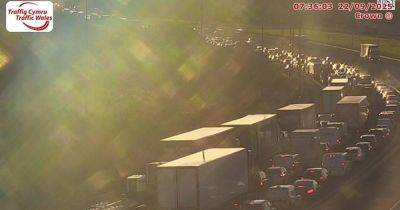 M4 crash causes major delays for commuters - walesonline.co.uk