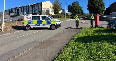 Police launch murder investigation after man dies following village 'disturbance' - live updates - walesonline.co.uk