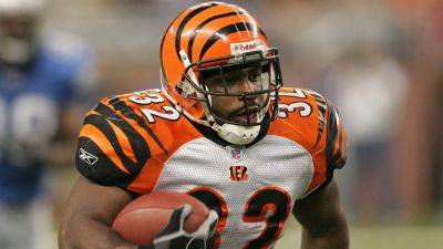 Cincinnati Bengals - Mike Brown - Paul Brown - Ex-Bengals star Rudi Johnson dead at 45 - foxnews.com - Usa - Chad - county San Diego - Baltimore