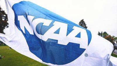 Nico Iamaleava - NCAA Committee Recommends Eliminating Spring Transfer Window for FBS Players - foxnews.com - Usa - state Tennessee