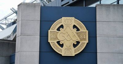 Pro-Palestine protesters gather at GAA headquarters over Allianz sponsorship