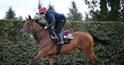 Trip remains the poser for O’Brien with Diamond Necklace