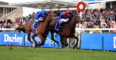 Darkness Falls edges Desert Castle as O’Brien claims thrilling Dewhurst battle