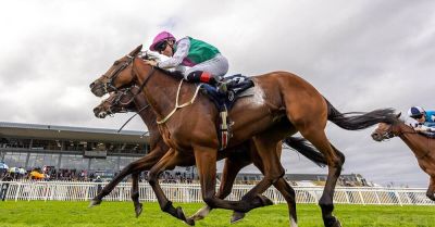Princess Child and Snapretend deliver for Joseph O’Brien
