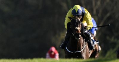 Marine Nationale bidding to regain Champion Chase crown