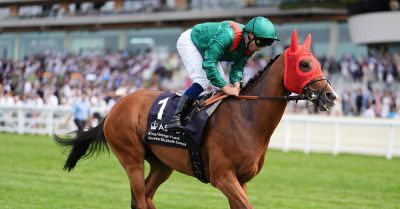 Calandagan in position to reproduce ‘massive performance’ in Champion Stakes defence