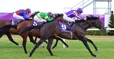 Preview: Wall Street’s stock has risen ahead of busy weekend in Leopardstown and Limerick