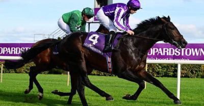 Williams - O’Brien set to go all out in pursuit of British trainers’ title - breakingnews.ie - Britain