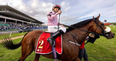 Foley hoping for one last hurrah with Hotazhell