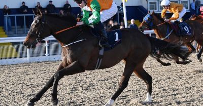 Sir Les Patterson can deliver first stakes success for Jack Kearney