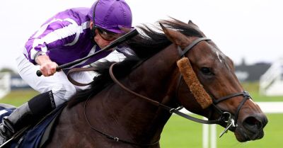 Bengal Tiger far too good for the rest in Prospect Stakes
