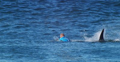 ‘That’s when I begin to scream’: Mick Fanning on punching a great white shark - breakingnews.ie
