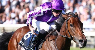 Equine stars set to shine across two continents