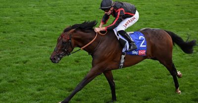 Maltese Cross can claim Arc glory for William Haggas