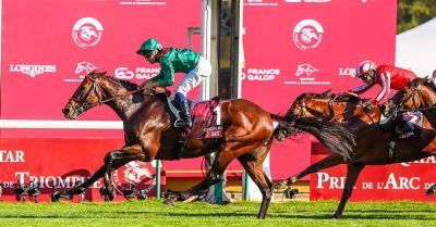 Retirement confirmed for brilliant dual Arc hero Daryz