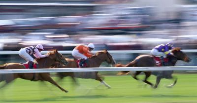 Rachael Blackmore - Willie Mullins - National Hunt Legends: Celebrate the Greatest Moments from Cheltenham and Aintree – Special Edition On Sale Now! - manchestereveningnews.co.uk - Britain - Ireland