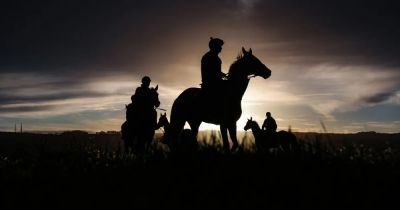 Cheltenham Festival Day 1 results LIVE as Willie Mullins goes for glory in the Champion Hurdle