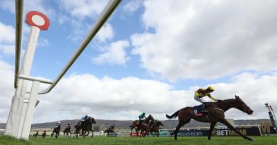 Cheltenham Festival results LIVE as Wille Mullins comes alive and Ireland bashes Britain