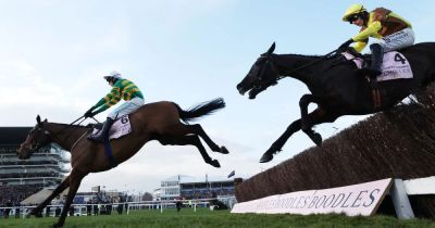 Harry Redknapp - Garry Owen - Cheltenham Gold Cup results LIVE as Gaelic Warrior and The Jukebox Man head the betting for the big one - dailyrecord.co.uk - county King George