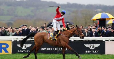 ‘Incredible’ Envoi Allen dies after collapsing following Cheltenham Gold Cup