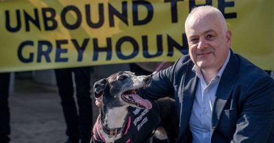 International - Scotland follows Wales in banning greyhound racing - breakingnews.ie - Scotland