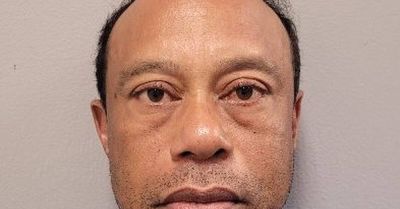 Report: Tiger Woods blames distracted driving for crash