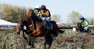 Willie Mullins - Dan Skelton - Patrick Mullins - Gavin Cromwell - Grand National 2026 Preview: 48-Page Guide with Tips, Runners & Expert Analysis - manchestereveningnews.co.uk - Ireland - Haiti