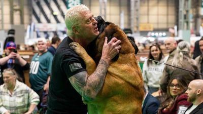 AEW star Dustin Rhodes' mastiff takes home prize at world's largest dog show