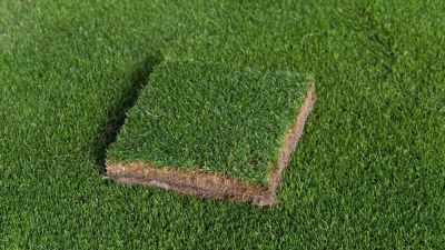NFLPA head: Players strongly want 'high quality' grass fields - ESPN