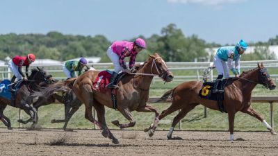 Preakness Stakes 2026: What to know about the second leg of horse racing's Triple Crown