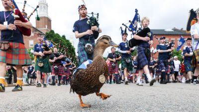 World Cup Daily: Scotland superfan Donny the Duck; USMNT, Brazil in action - ESPN