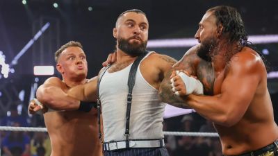 Williams - WWE NXT star talks Chicago Bears' possible move to Indiana: 'What the F?' - foxnews.com - state Indiana - state Michigan - county Lake - state Illinois - county Park