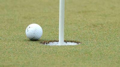 Golfer resigns from club after admitting to fake hole-in-one - ESPN