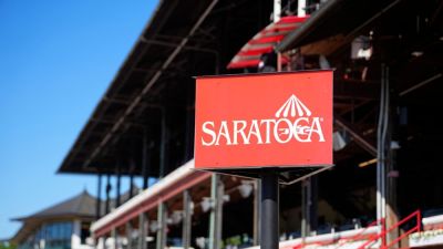 Integrity firm investigating 5 horse races amid unusual betting - ESPN - espn.com - Britain - Usa - New York - state New Jersey - state Maryland - county Park