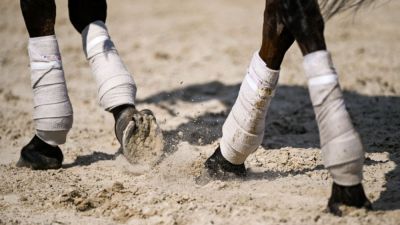 Professor, bettor charged with accessing private horse info - ESPN - espn.com