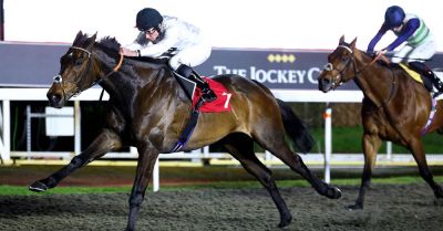 Nicky Henderson - Williams - Constitution Hill’s Melbourne Cup dream to become clearer at Kempton - breakingnews.ie