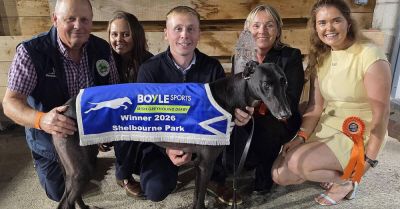 Graham Holland completes a hat-trick of Greyhound Derby wins at Shelbourne Park