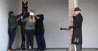 Willie Mullins at 70 – relentless focus is powered by patience