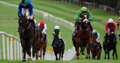 Not Just Any Eagle soars to Tipperary Cup glory at Clonmel - breakingnews.ie