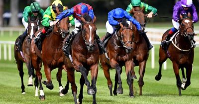 O’Brien feels Darkness Falls has Triple Crown potential
