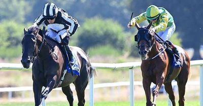 Star Performer can rise to challenge and better Faiyum - breakingnews.ie